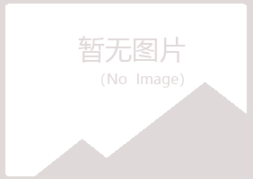 湖北紫山化学有限公司